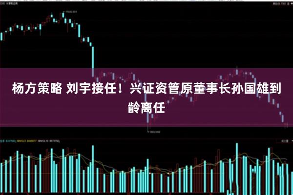 杨方策略 刘宇接任！兴证资管原董事长孙国雄到龄离任