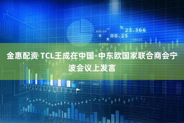 金惠配资 TCL王成在中国-中东欧国家联合商会宁波会议上发言