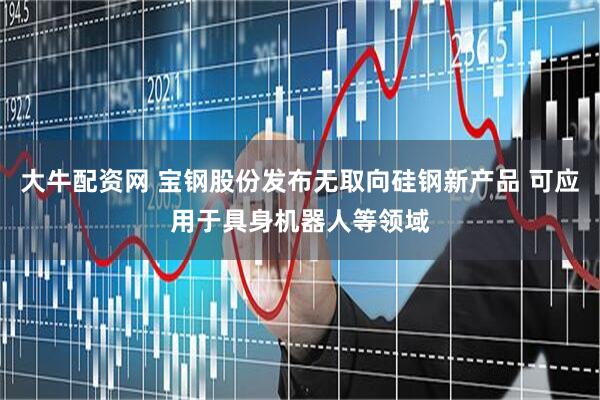 大牛配资网 宝钢股份发布无取向硅钢新产品 可应用于具身机器人等领域
