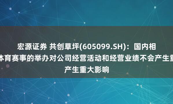 宏源证券 共创草坪(605099.SH)：国内相关足球体育赛事的举办对公司经营活动和经营业绩不会产生重大影响