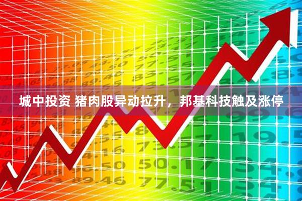 城中投资 猪肉股异动拉升，邦基科技触及涨停