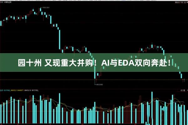 园十州 又现重大并购！AI与EDA双向奔赴！