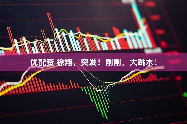 优配资 徐翔，突发！刚刚，大跳水！