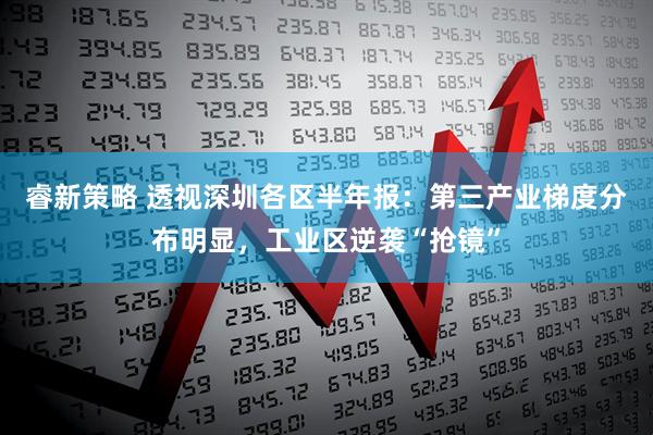 睿新策略 透视深圳各区半年报：第三产业梯度分布明显，工业区逆袭“抢镜”