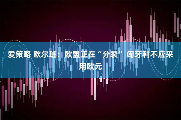 爱策略 欧尔班：欧盟正在“分裂” 匈牙利不应采用欧元