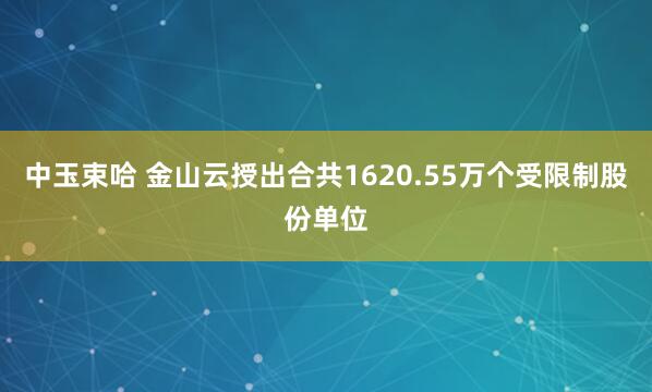 中玉束哈 金山云授出合共1620.55万个受限制股份单位