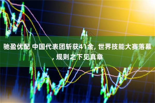 驰盈优配 中国代表团斩获41金, 世界技能大赛落幕, 规则之下见真章
